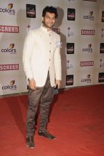 at Star Screen Awards 2012 in Mumbai on 14th Jan 2012 (381).JPG